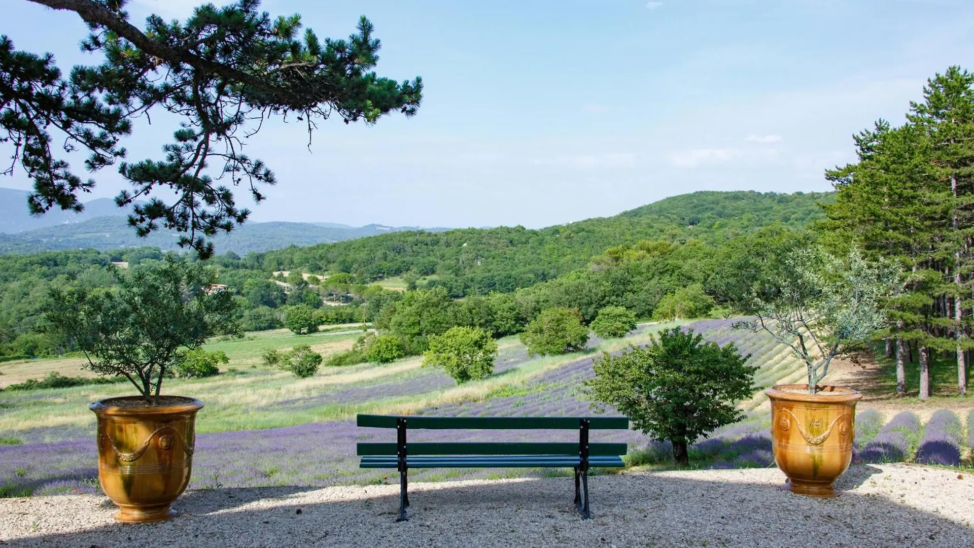 Bastide De L'Esclat - Swimming Pool - 8 Bedrooms - 15 Pers Apt