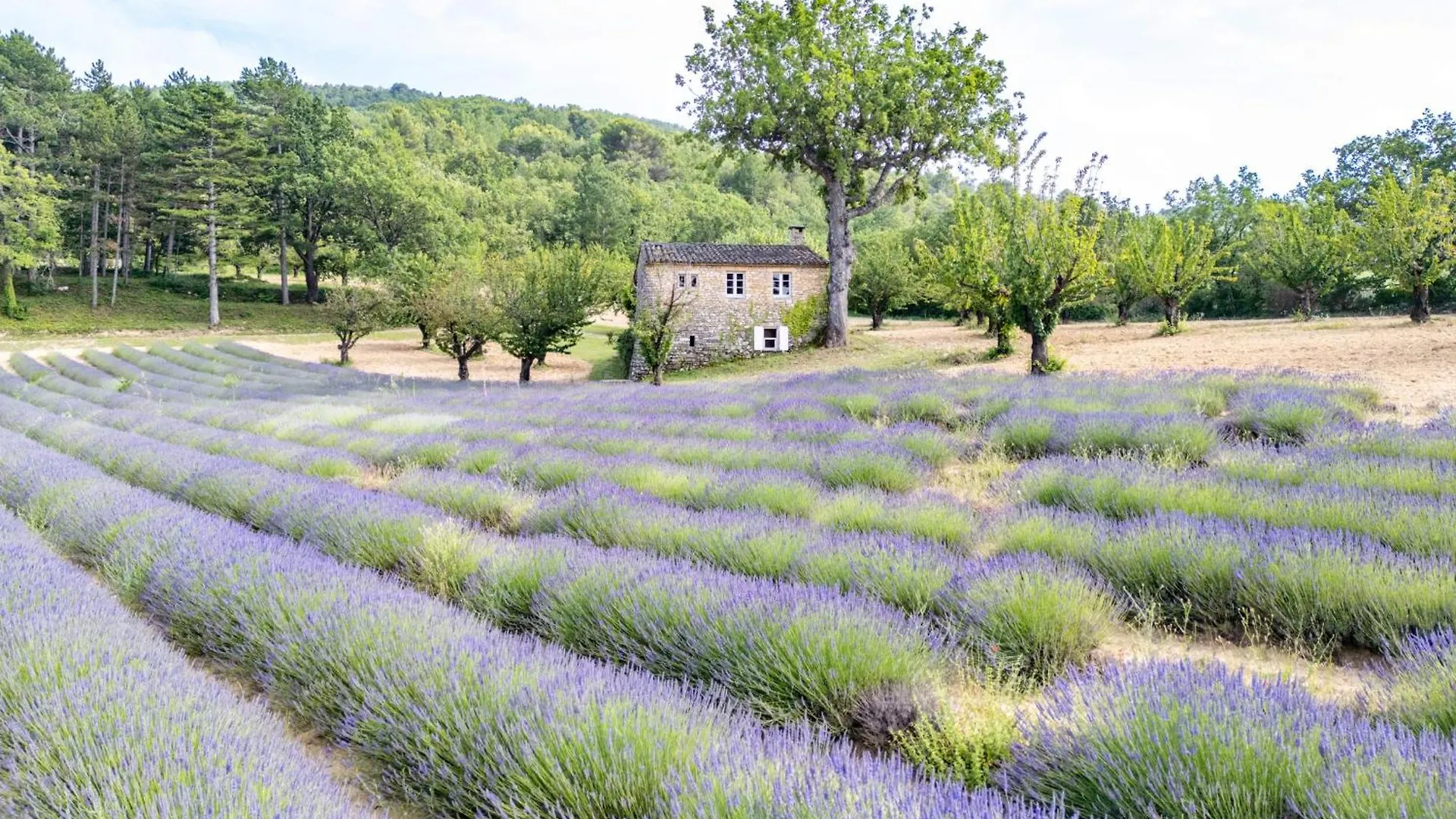 Bastide De L'Esclat - Swimming Pool - 8 Bedrooms - 15 Pers Apt Holiday home